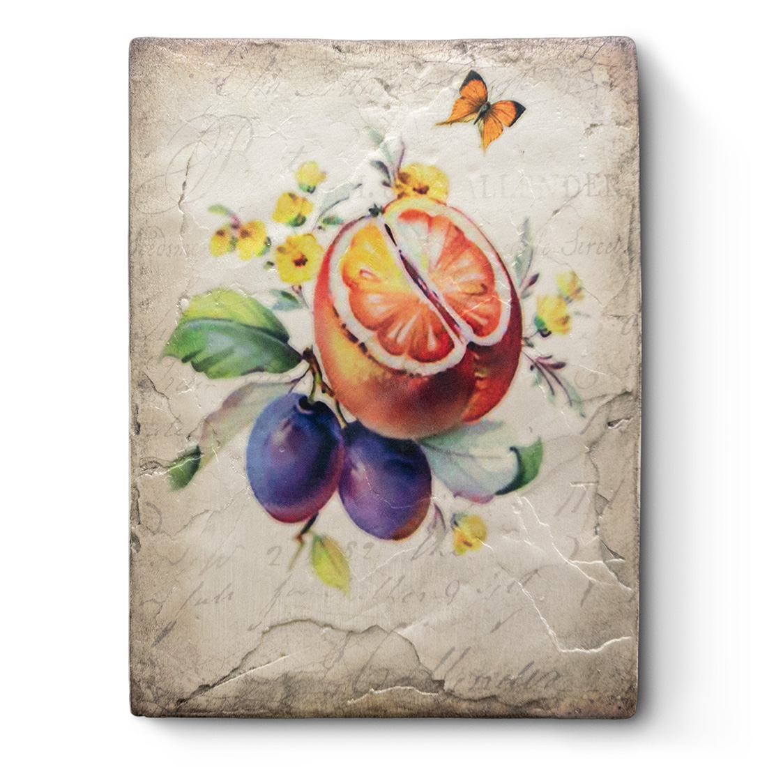 T634 - Nature's Bounty - Memory Block Sid Dickens von Sid Dickens aus der Kategorie 2024 Spring Collection mit der Artikelnummer T634