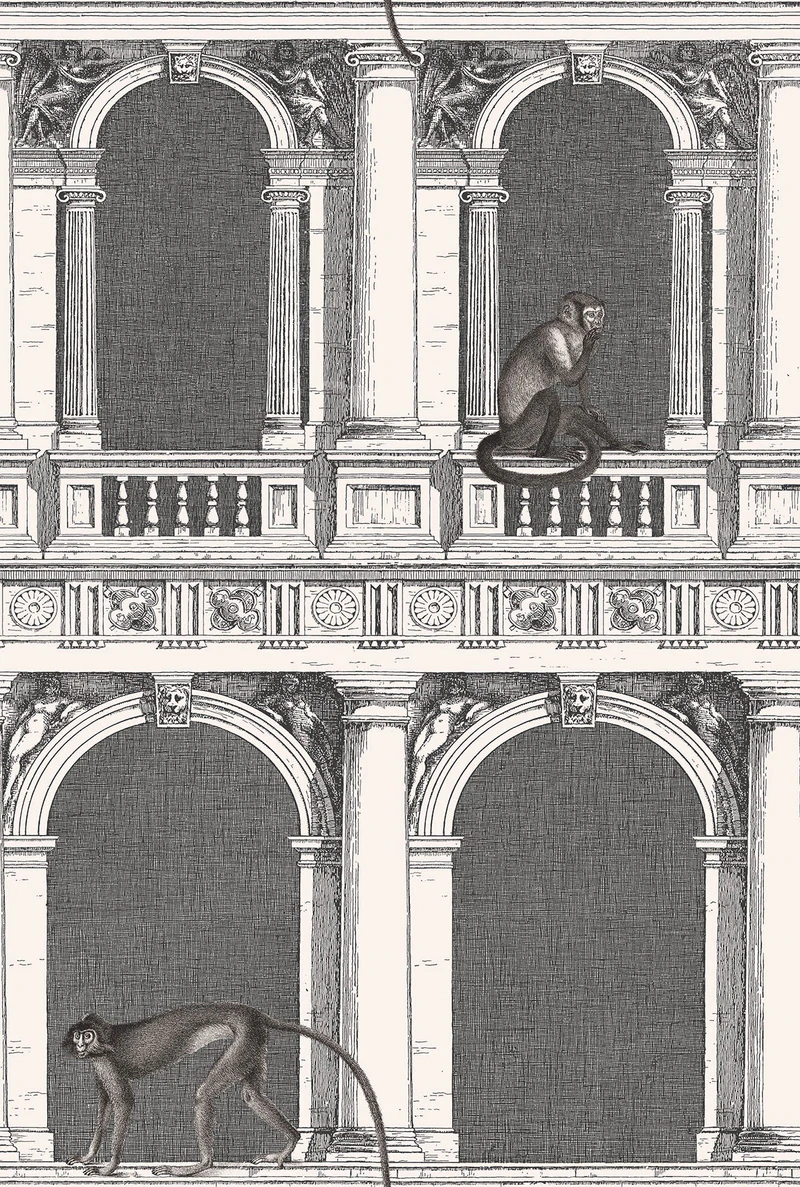 Procuratie e Scimmie Tapete - 114/21041 - Cole&Son - Fornasetti Senza Tempo von Cole&Son aus der Kategorie Fornasetti Selection mit der Artikelnummer 114-21041