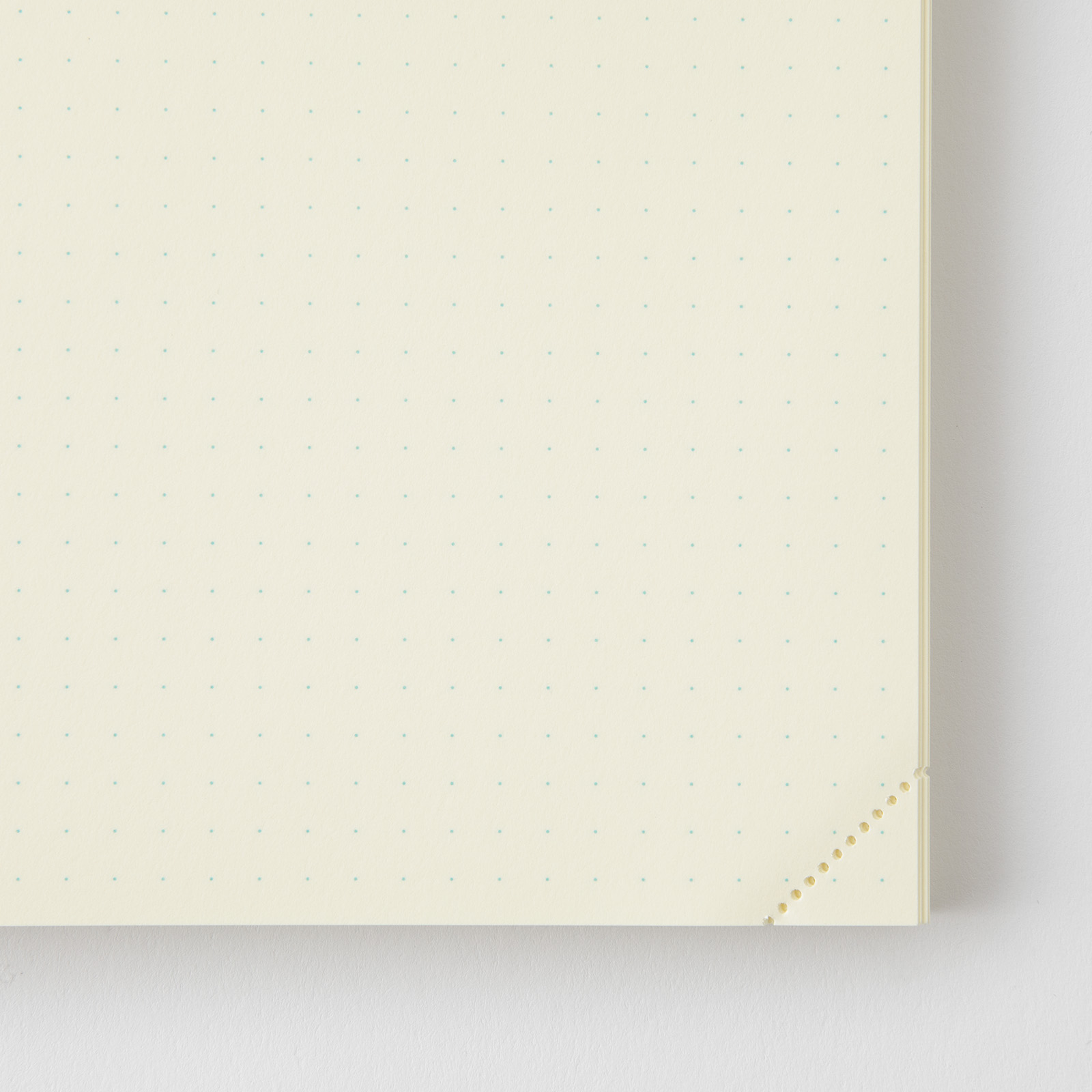 MD Notebook Journal - A5 - Codex 1 Day 1 Page - Dot Grid - Midori Notizbuch