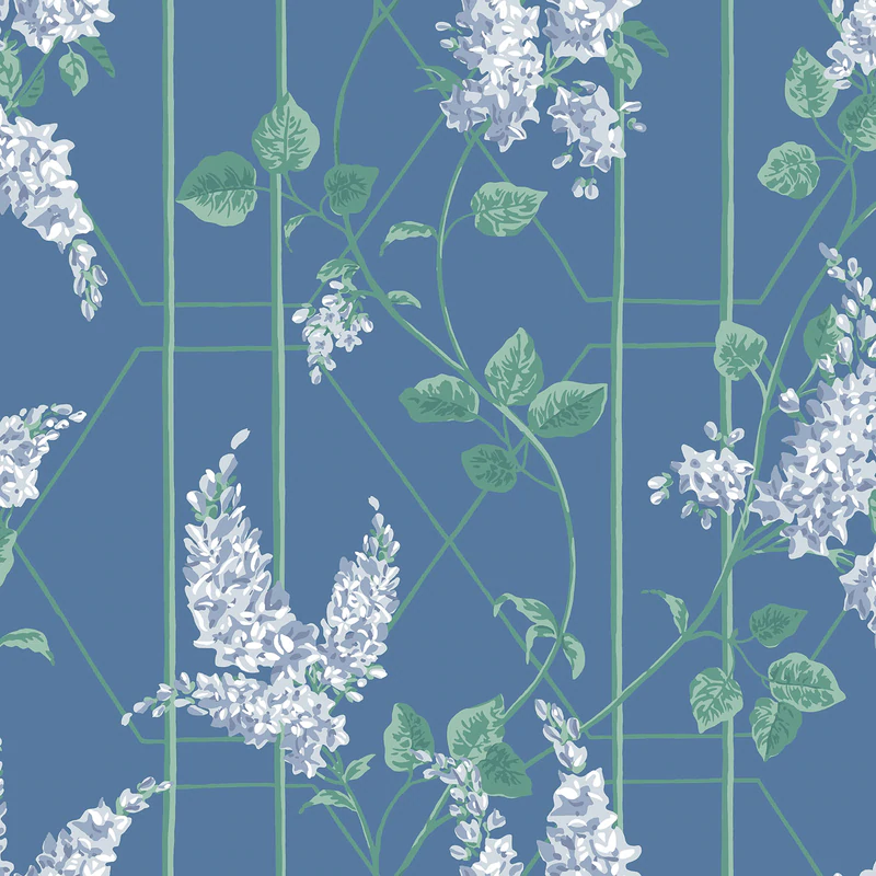 Wisteria Tapete - 115/5015 - Cole&Son - Botanical ~Botanica~ von Cole&Son aus der Kategorie Botanical Botanica mit der Artikelnummer 115-5015