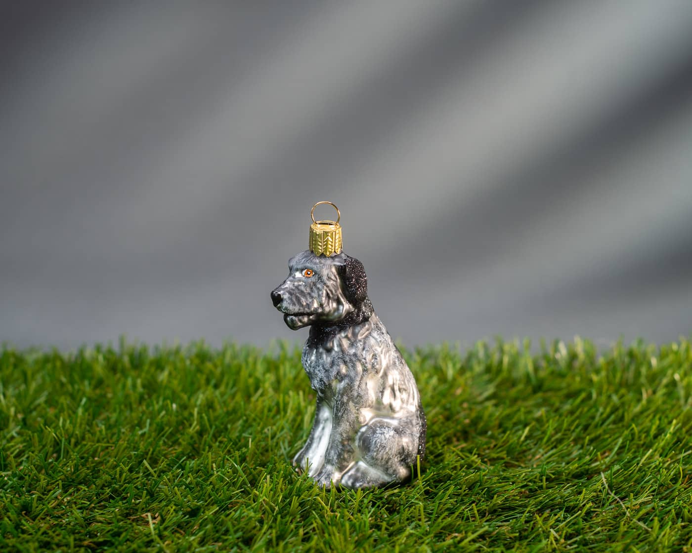 Deutsch Drahthaar - Christbaumschmuck aus Glas-OF23370-Weihnachtsland-Christbaumschmuck Deutsch Drahthaar - Christbaumschmuck aus Glas von Weihnachtsland aus der Kategorie Christbaumschmuck mit der Artikelnummer OF23370