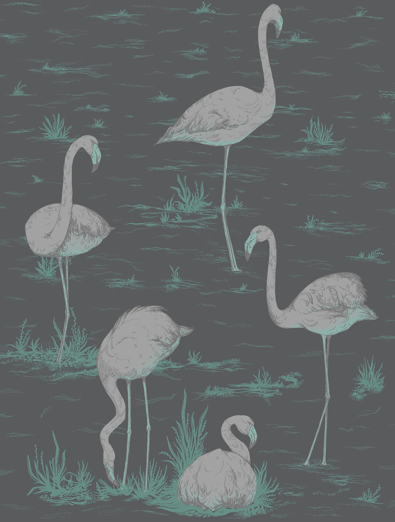 Flamingos Tapete - 95/8048 - Cole&Son - The Contemporary Collection