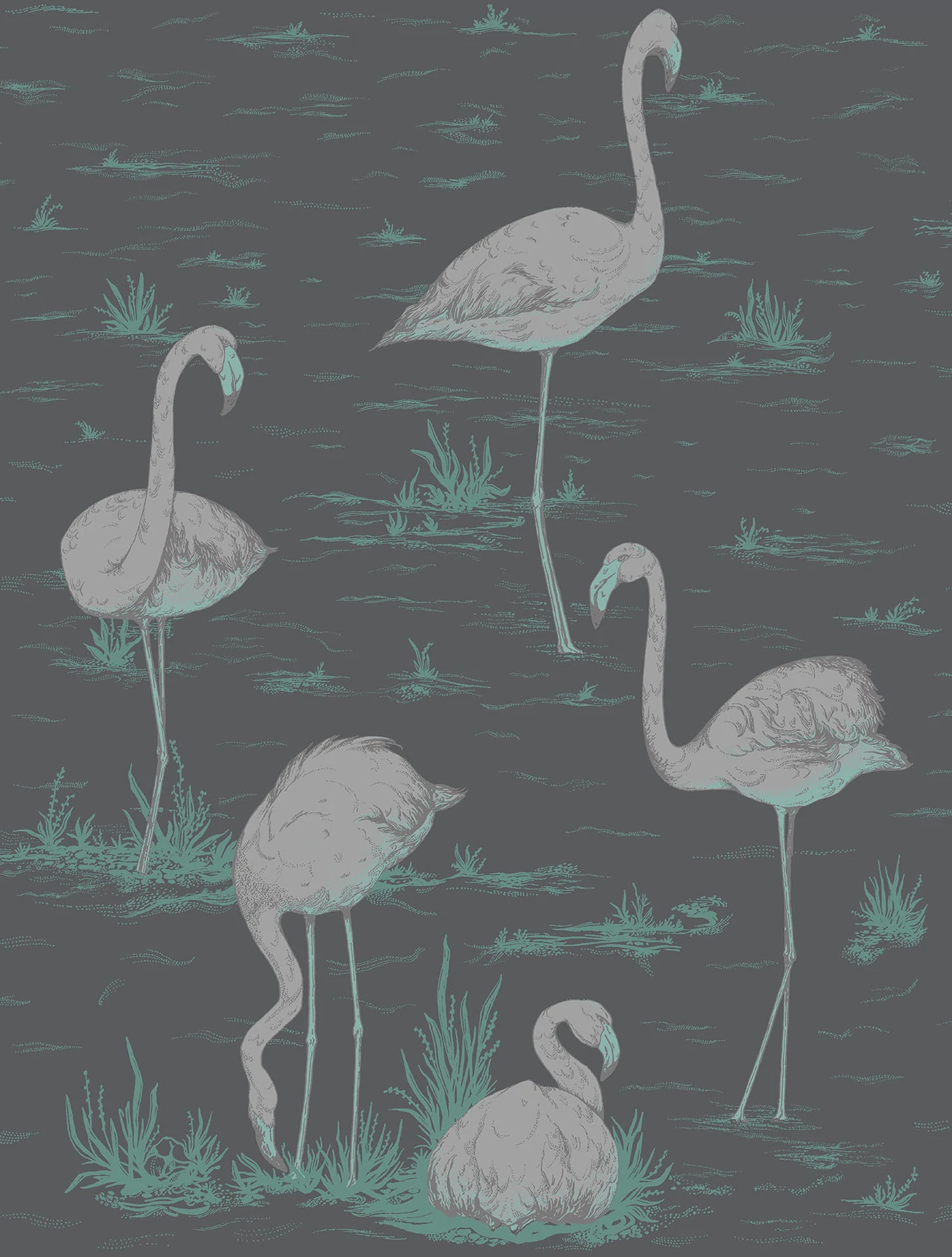 Flamingos Tapete - 95/8048 - Cole&Son - The Contemporary Collection von Cole&Son aus der Kategorie The Contemporary Collection mit der Artikelnummer 95-8048