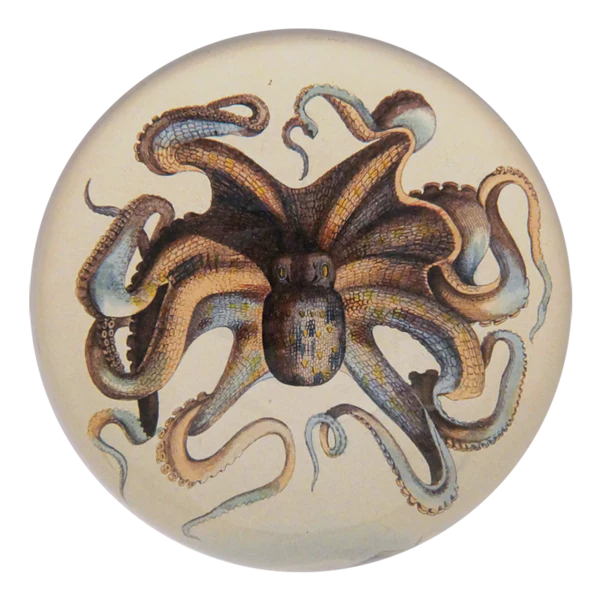 Octopus - Briefbeschwerer - Dome Paperweight von John Derian