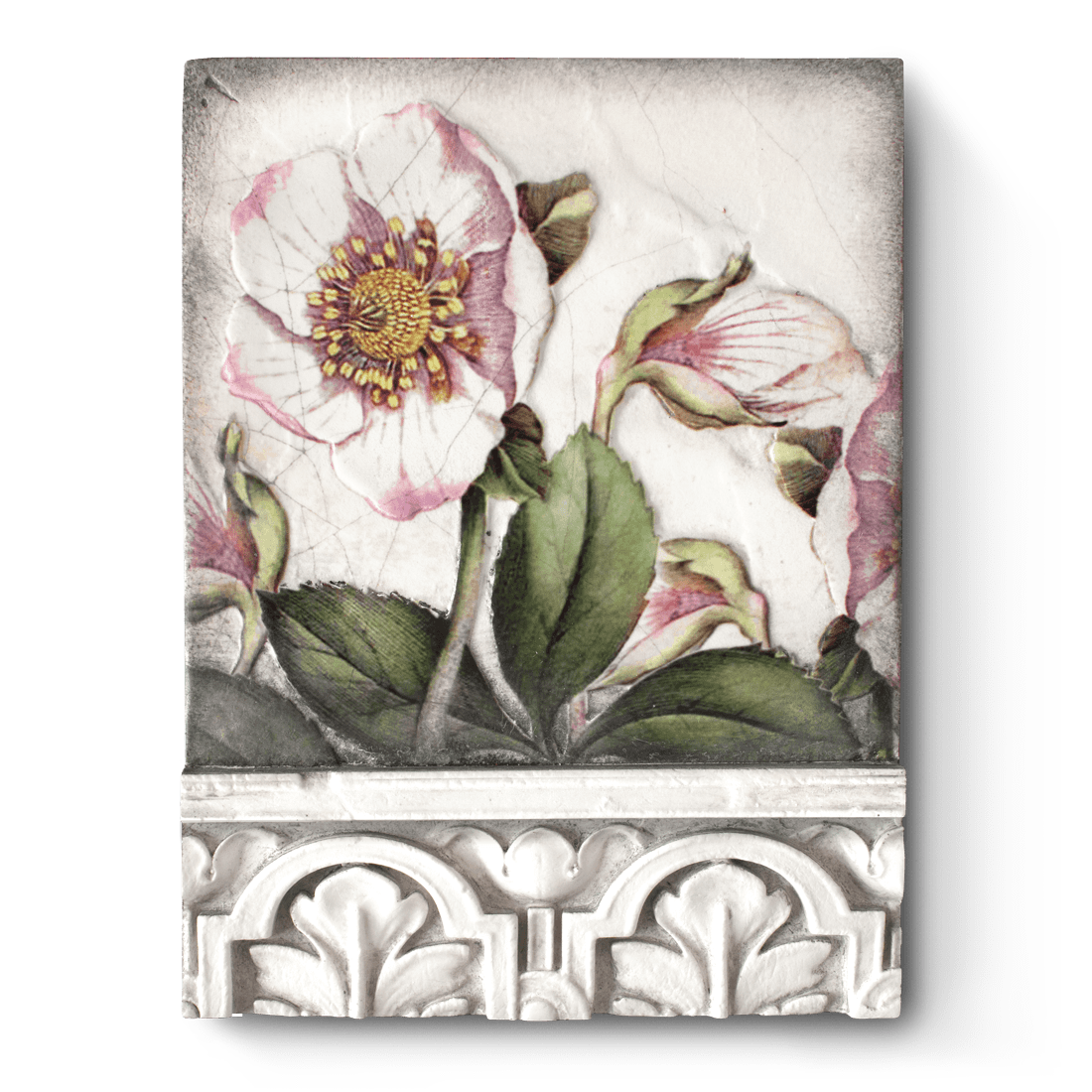 T501 - Hellebores - Memory Block Sid Dickens-T501-Sid Dickens-Memory Blocks T501 - Hellebores - Memory Block Sid Dickens von Sid Dickens aus der Kategorie Memory Blocks mit der Artikelnummer T501