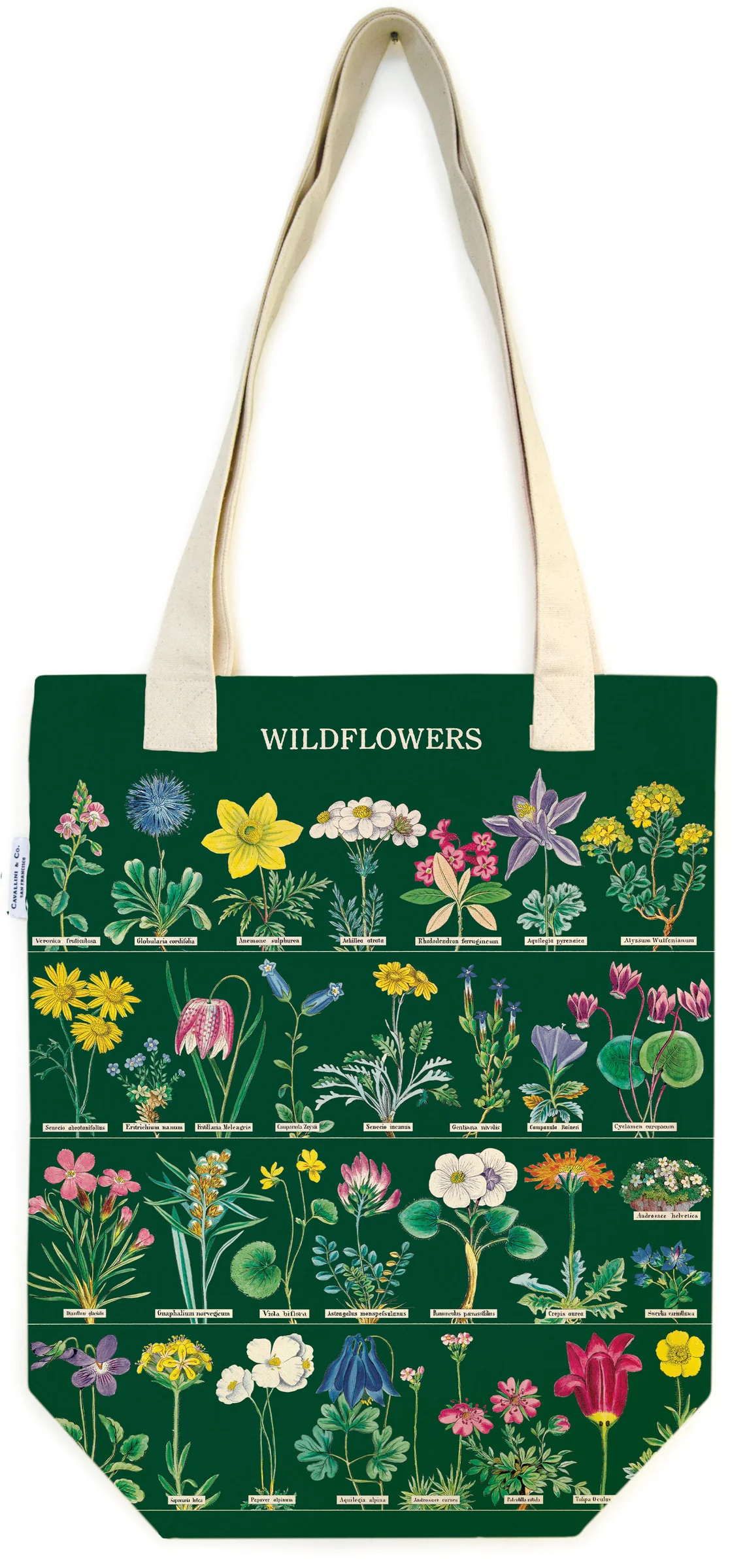 Wildflowers II - Vintage Baumwoll-Tragetasche von Cavallini Wildflowers II - Vintage Baumwoll-Tragetasche von Cavallini