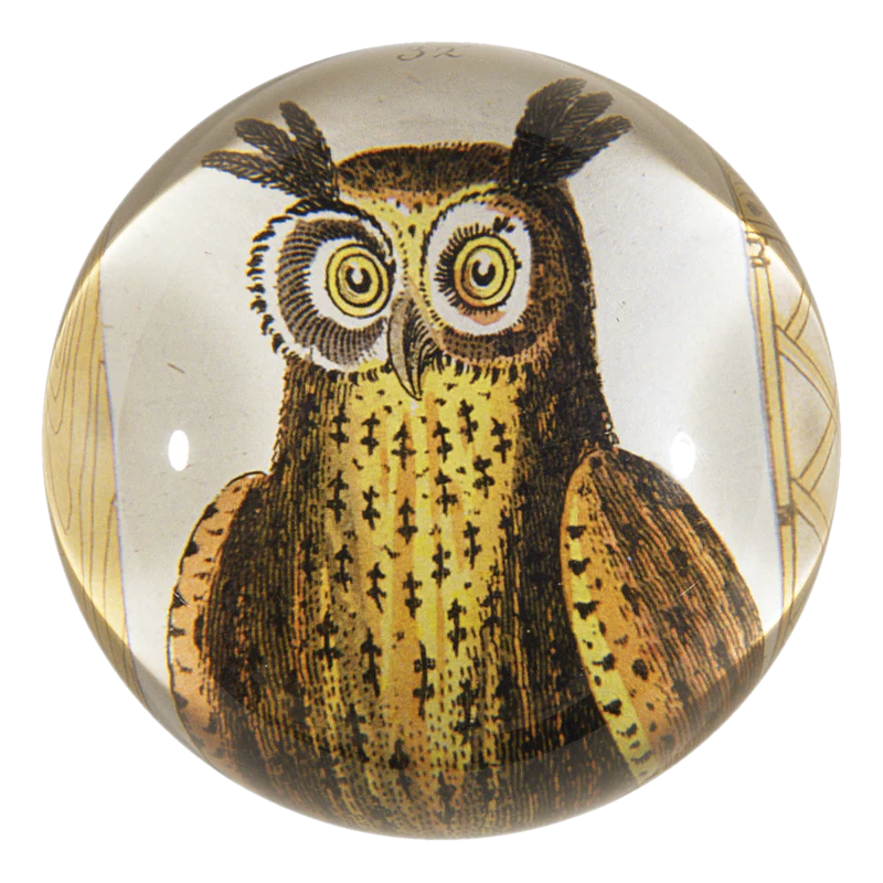 Owl - Briefbeschwerer - Dome Paperweight von John Derian-CDPOWL-John Derian-Paperweights - John Derian Owl - Briefbeschwerer - Dome Paperweight von John Derian von John Derian aus der Kategorie Paperweights - John Derian mit der Artikelnummer CDPOWL