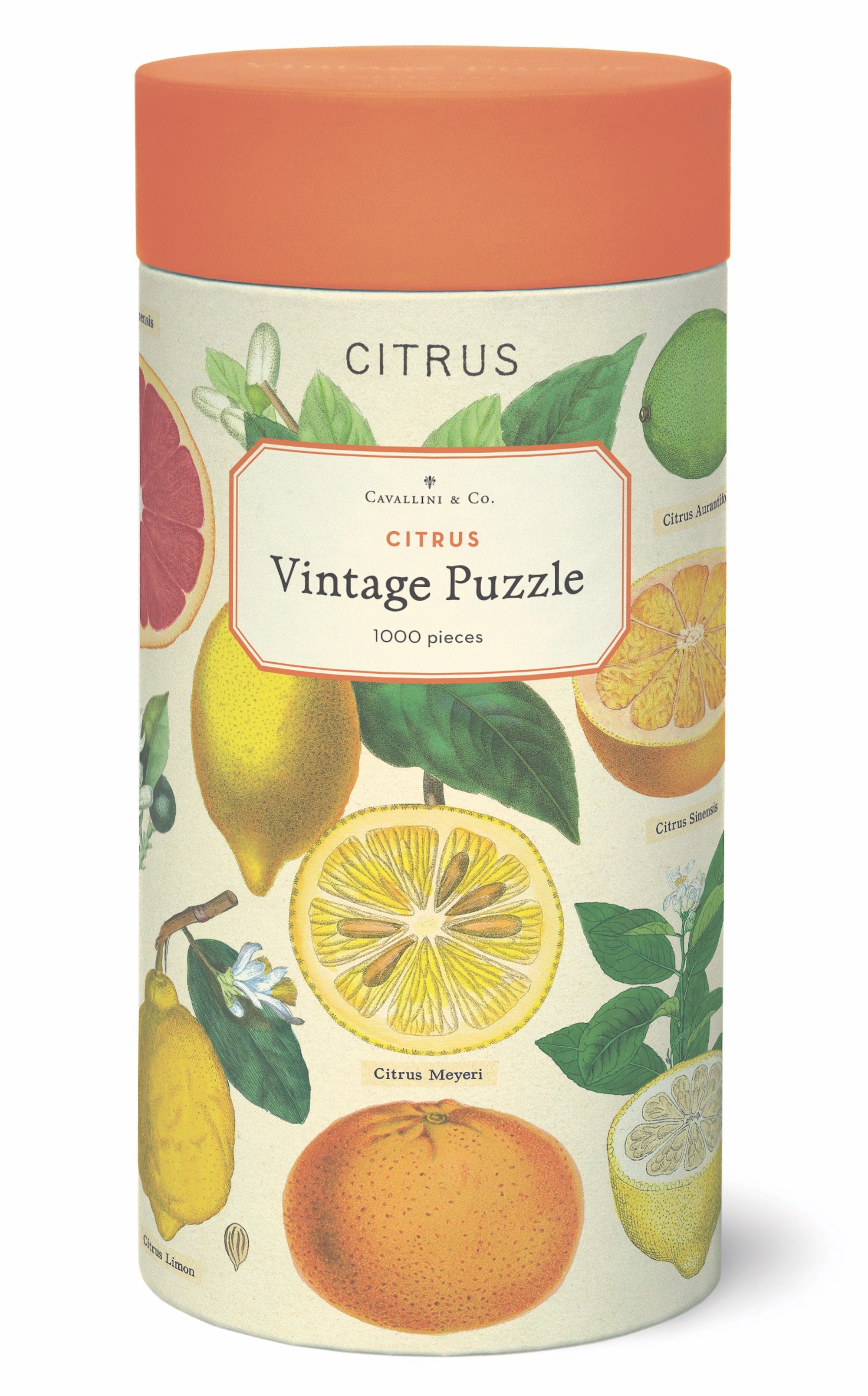 Citrus - Vintage Puzzle von Cavallini - 1.000 Teile