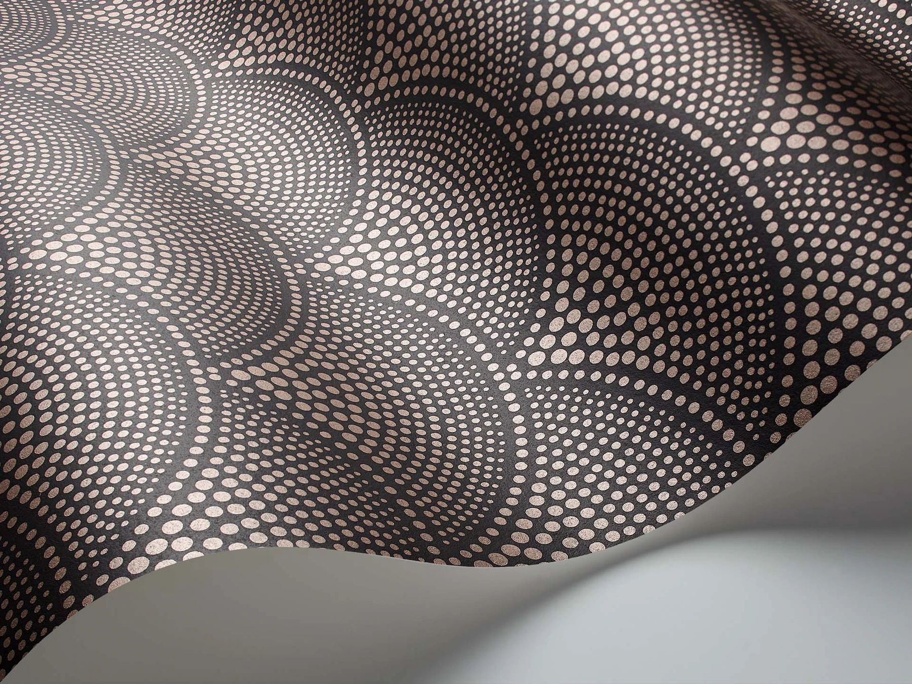 Feather Fan Tapete - 112/10033 - Cole&Son - Icons-112-10033-Cole&Son-Icons Feather Fan Tapete - 112/10033 - Cole&Son - Icons von Cole&Son aus der Kategorie Icons mit der Artikelnummer 112-10033