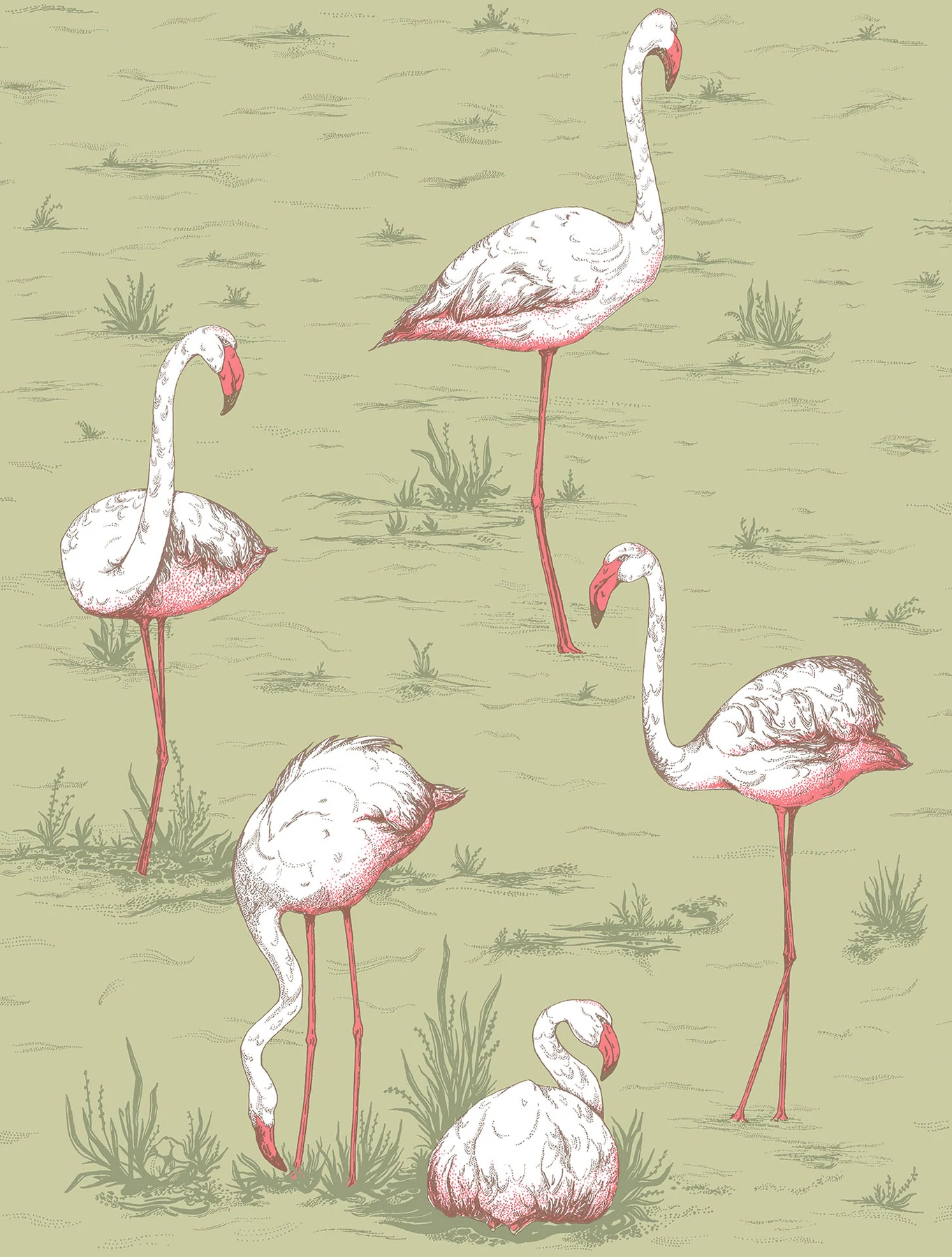 Flamingos Tapete - 112/11038 - Cole&Son - Icons