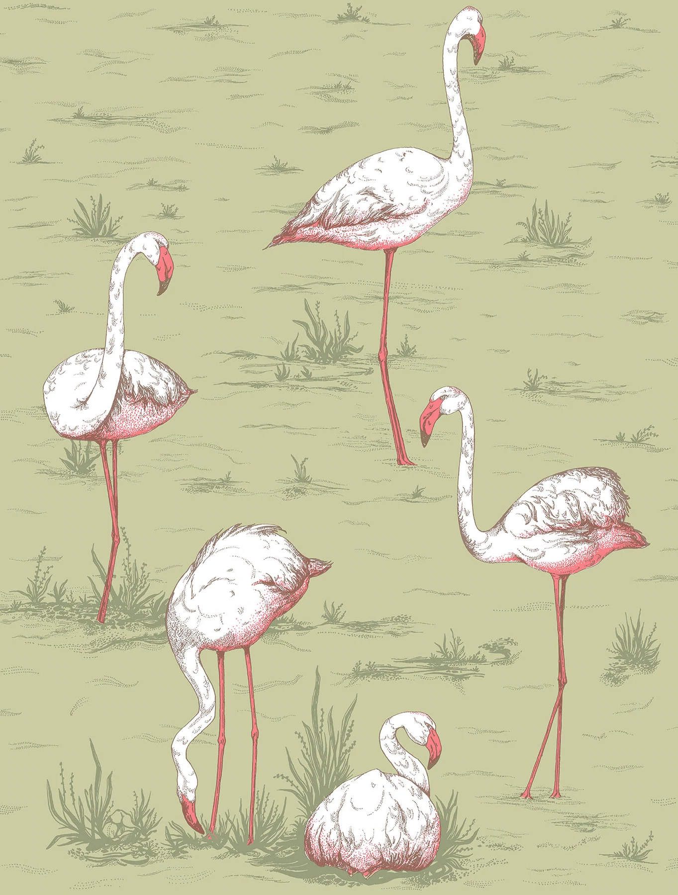 Flamingos Tapete - 112/11038 - Cole&Son - Icons-112-11038-Cole&Son-Icons Flamingos Tapete - 112/11038 - Cole&Son - Icons von Cole&Son aus der Kategorie Icons mit der Artikelnummer 112-11038