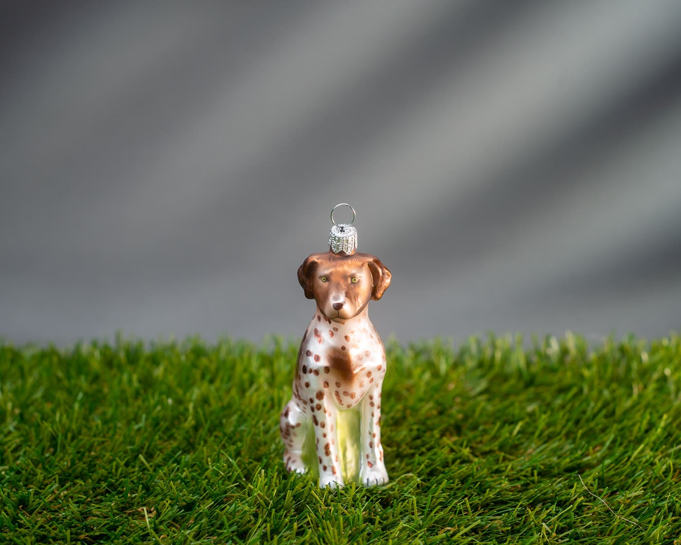 Pointer - Christbaumschmuck aus Glas-2736.02-Hanco-Christbaumschmuck Pointer - Christbaumschmuck aus Glas von Hanco aus der Kategorie Christbaumschmuck mit der Artikelnummer 2736.02