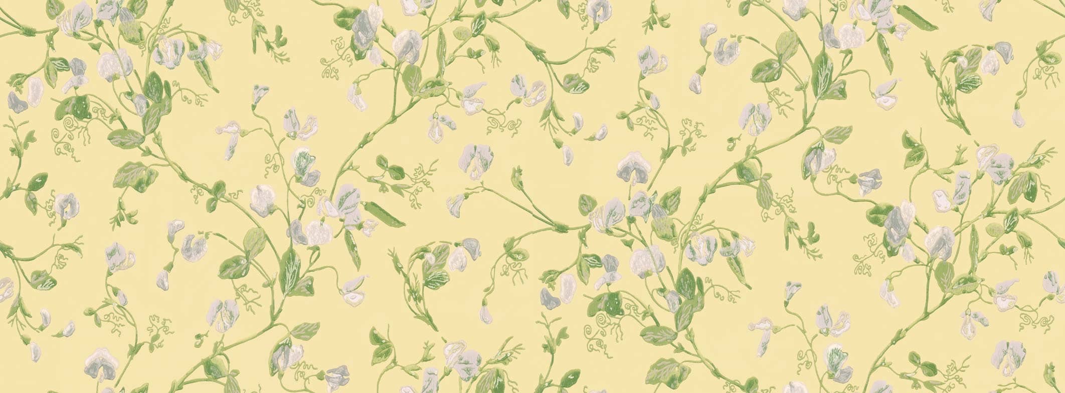 Sweet Pea Tapete - 100/6029 - Cole&Son - Archive Anthology von Cole&Son aus der Kategorie Archive Anthology mit der Artikelnummer 100-6029