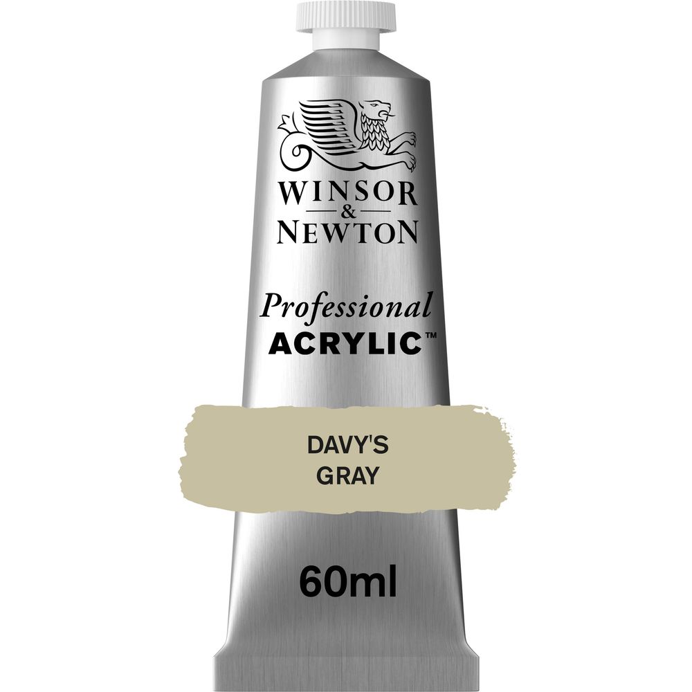217 - Davy's Gray - 60ml Professional Acrylic von Winsor&Newton - S1