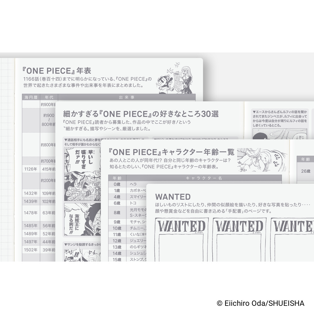 HON A6 2027 japanisch – ONE PIECE magazine: Very Very Merry! | Hobonichi