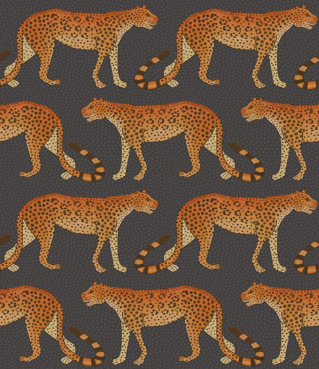 Leopard Walk Tapete - 109/2008 - Cole&Son - The Ardmore Collection-109-2008-Cole&Son-Ardmore Leopard Walk Tapete - 109/2008 - Cole&Son - The Ardmore Collection von Cole&Son aus der Kategorie Ardmore mit der Artikelnummer 109-2008