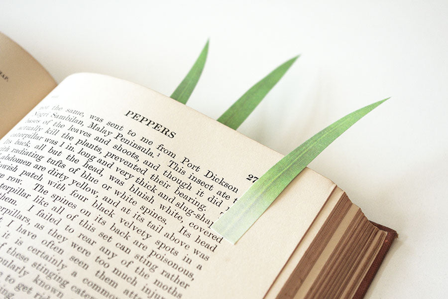 GreenMarker - Gras Haftnotizen von Yuruliku