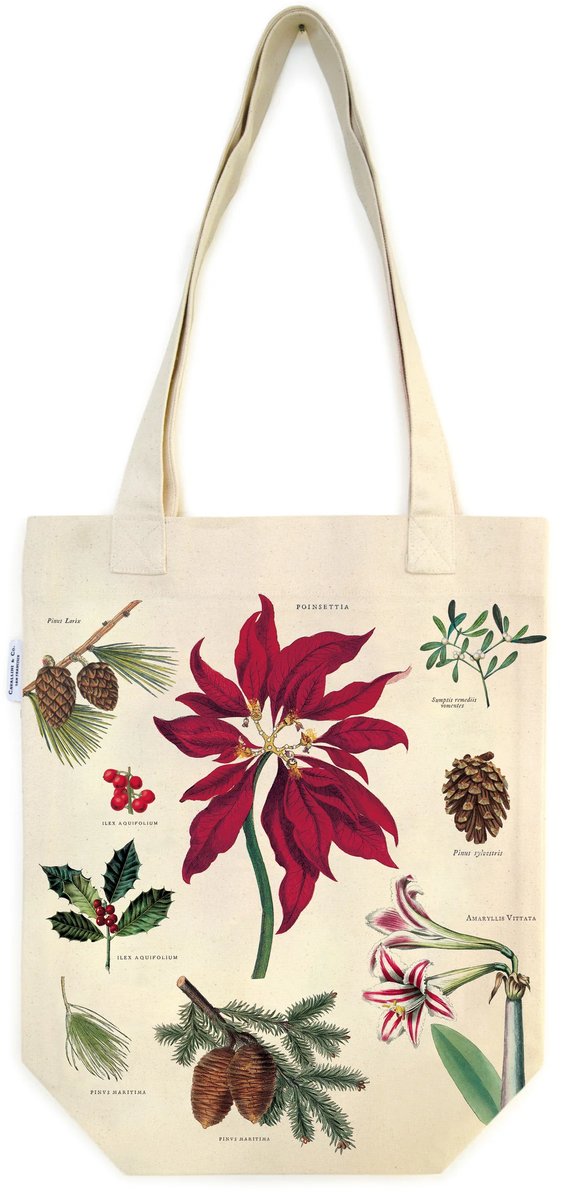 Christmas Botanica - Vintage Baumwoll-Tragetasche von Cavallini