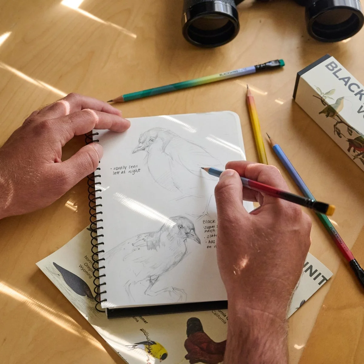 BLACKWING VOLUME 458 - The Birding Pencil (12er Set)