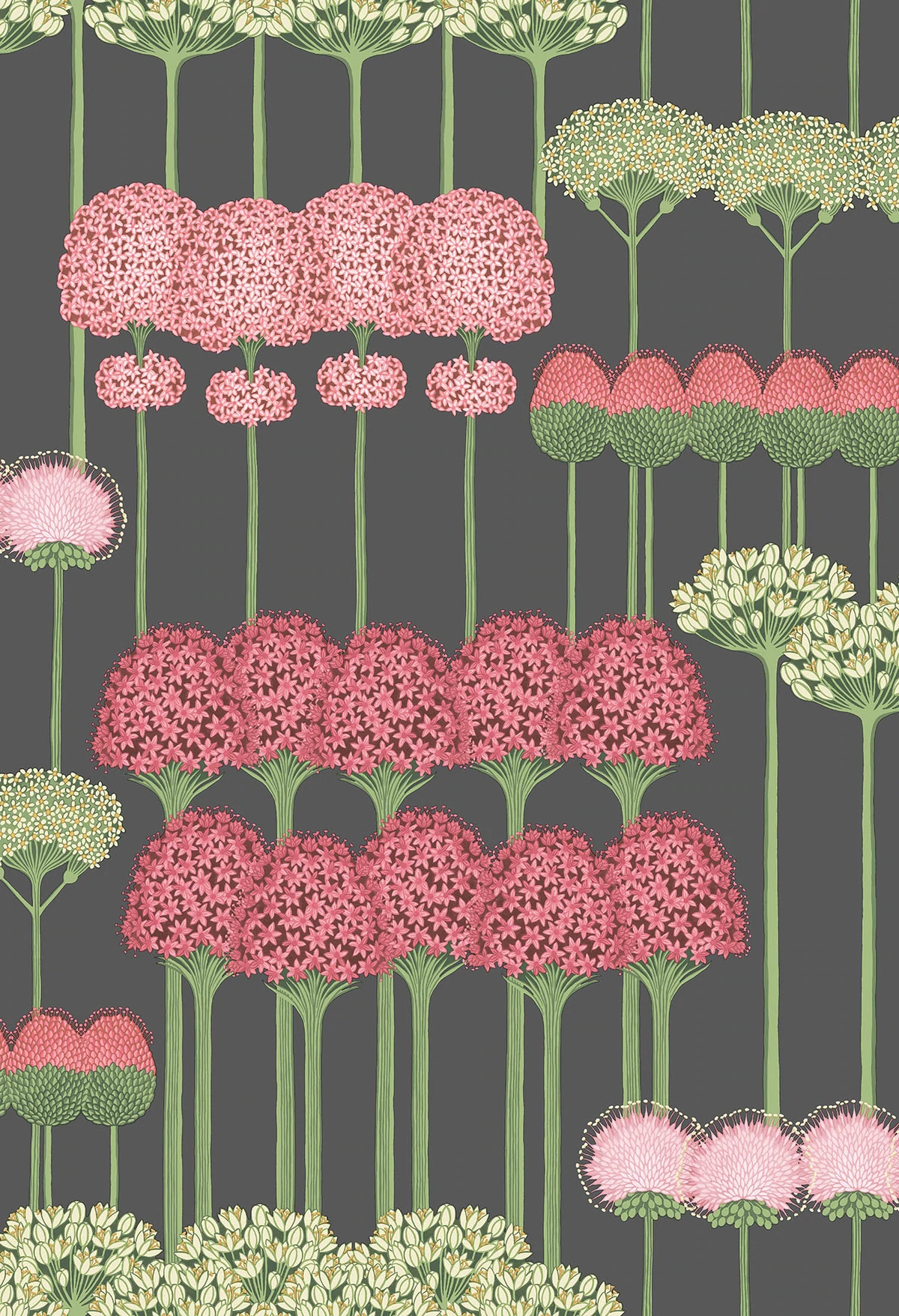Allium Tapete - 115/12037 - Cole&Son - Botanical ~Botanica~-115-12037-Cole&Son-Botanical Botanica Allium Tapete - 115/12037 - Cole&Son - Botanical ~Botanica~ von Cole&Son aus der Kategorie Botanical Botanica mit der Artikelnummer 115-12037