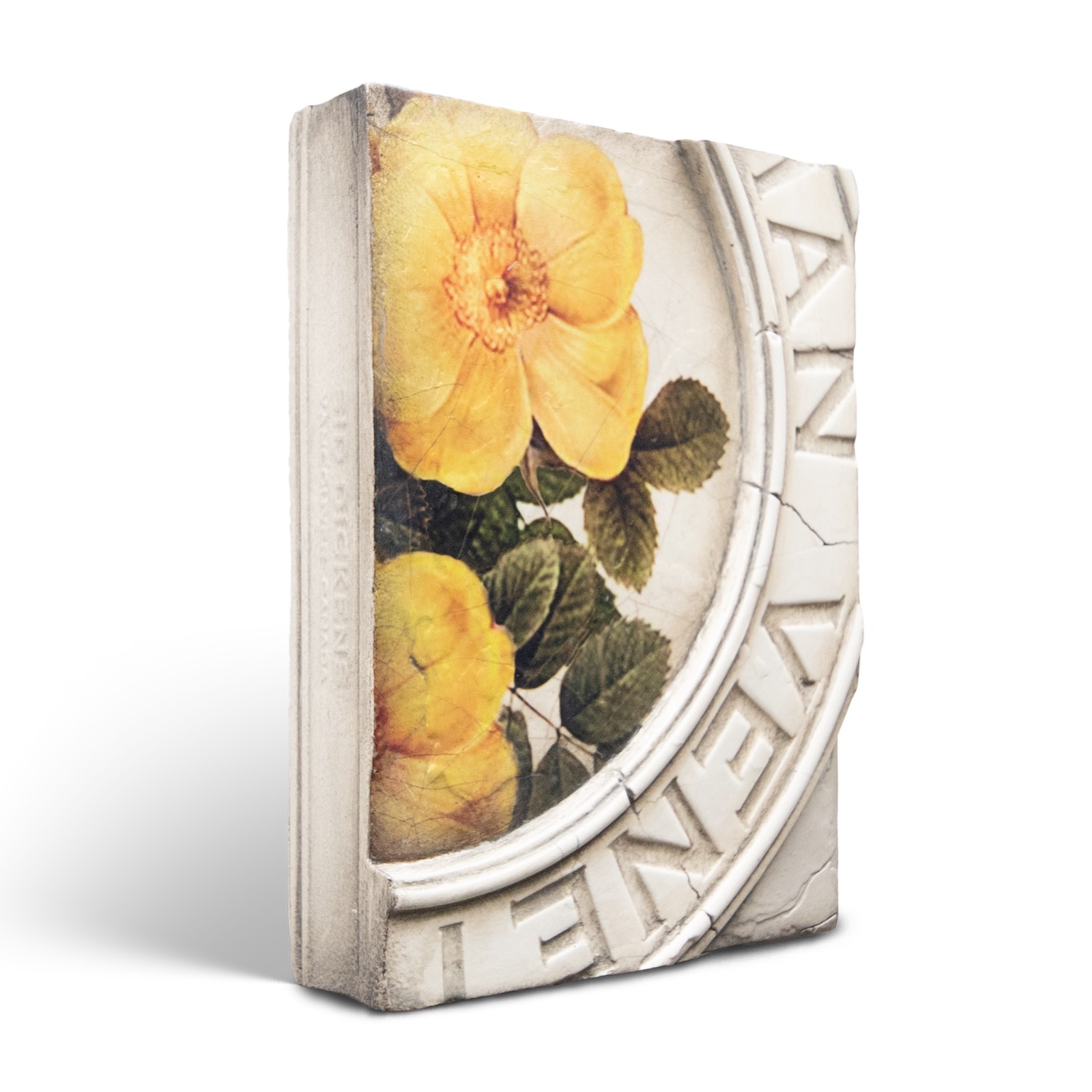 T556 - Rosa - Memory Block Sid Dickens von Sid Dickens aus der Kategorie Memory Blocks mit der Artikelnummer T556