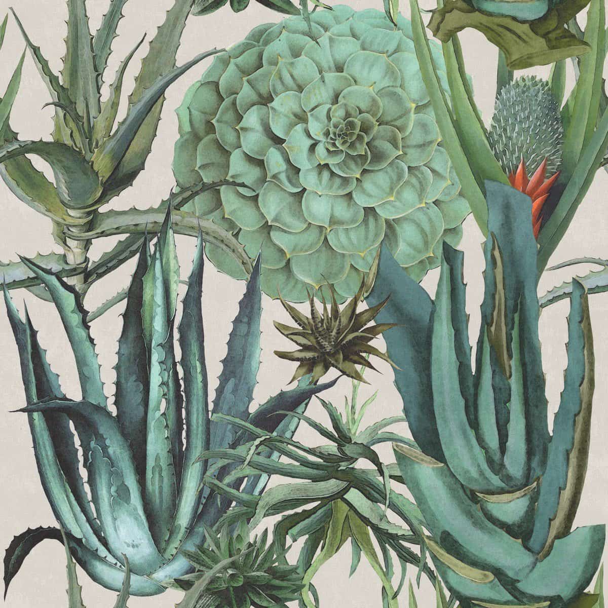 Tapete SUCCULENTUS - Mindthegap-WP20168-MINDTHEGAP-MIND THE GAP Tapete SUCCULENTUS - Mindthegap von MINDTHEGAP aus der Kategorie MIND THE GAP mit der Artikelnummer WP20168