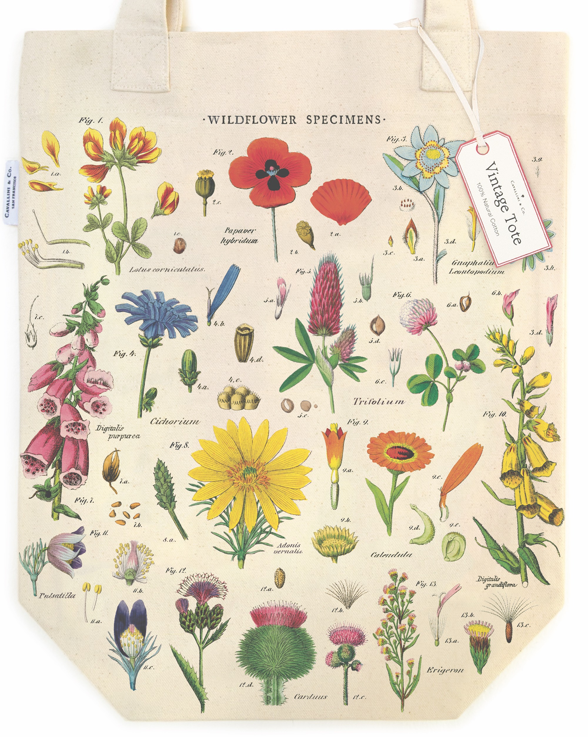 Wildflowers - Vintage Baumwoll-Tragetasche von Cavallini Wildflowers - Vintage Baumwoll-Tragetasche von Cavallini