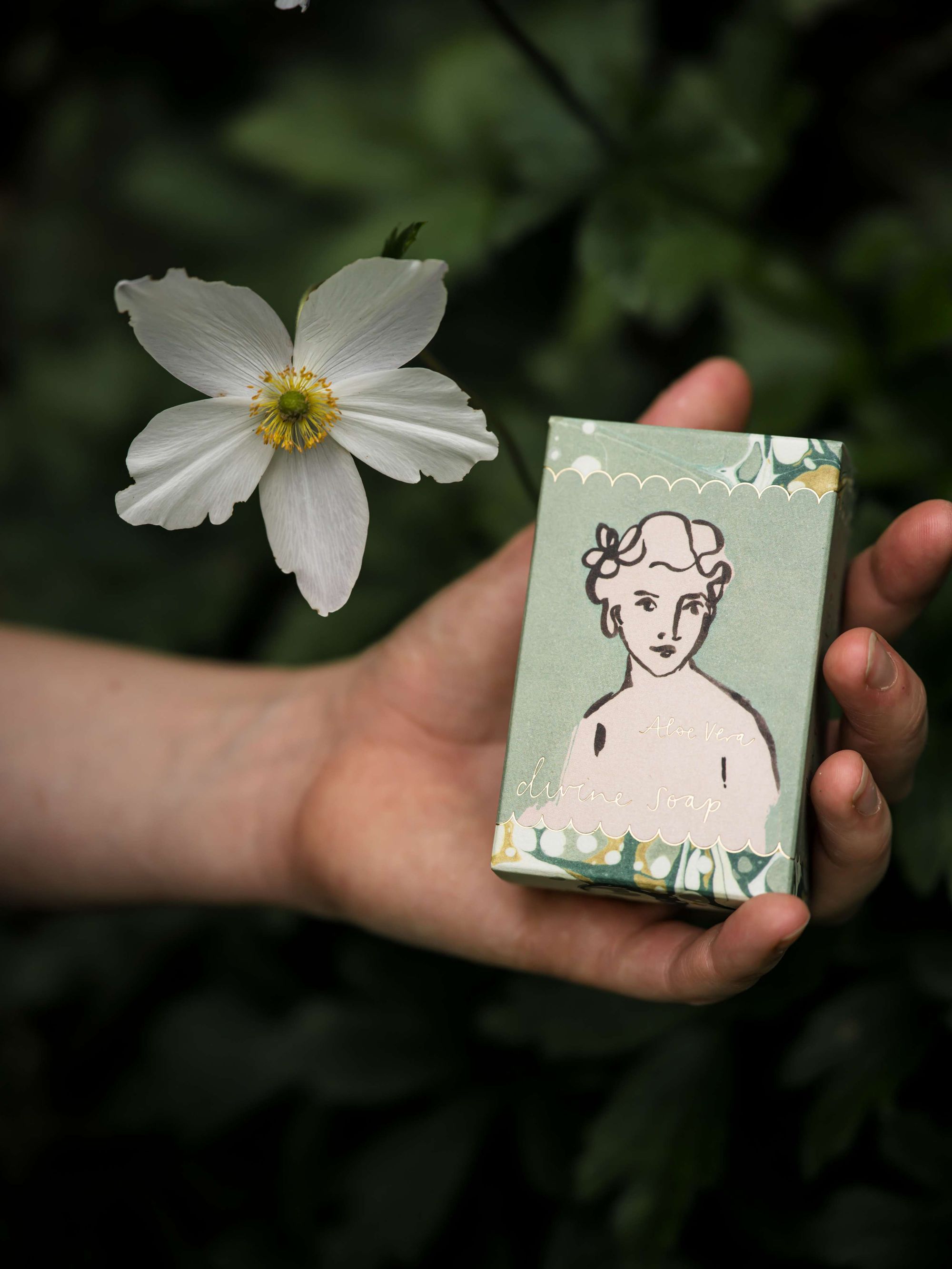 Handseife "Aloe Vera" - Divine Soap - Wanderlust X Archivist