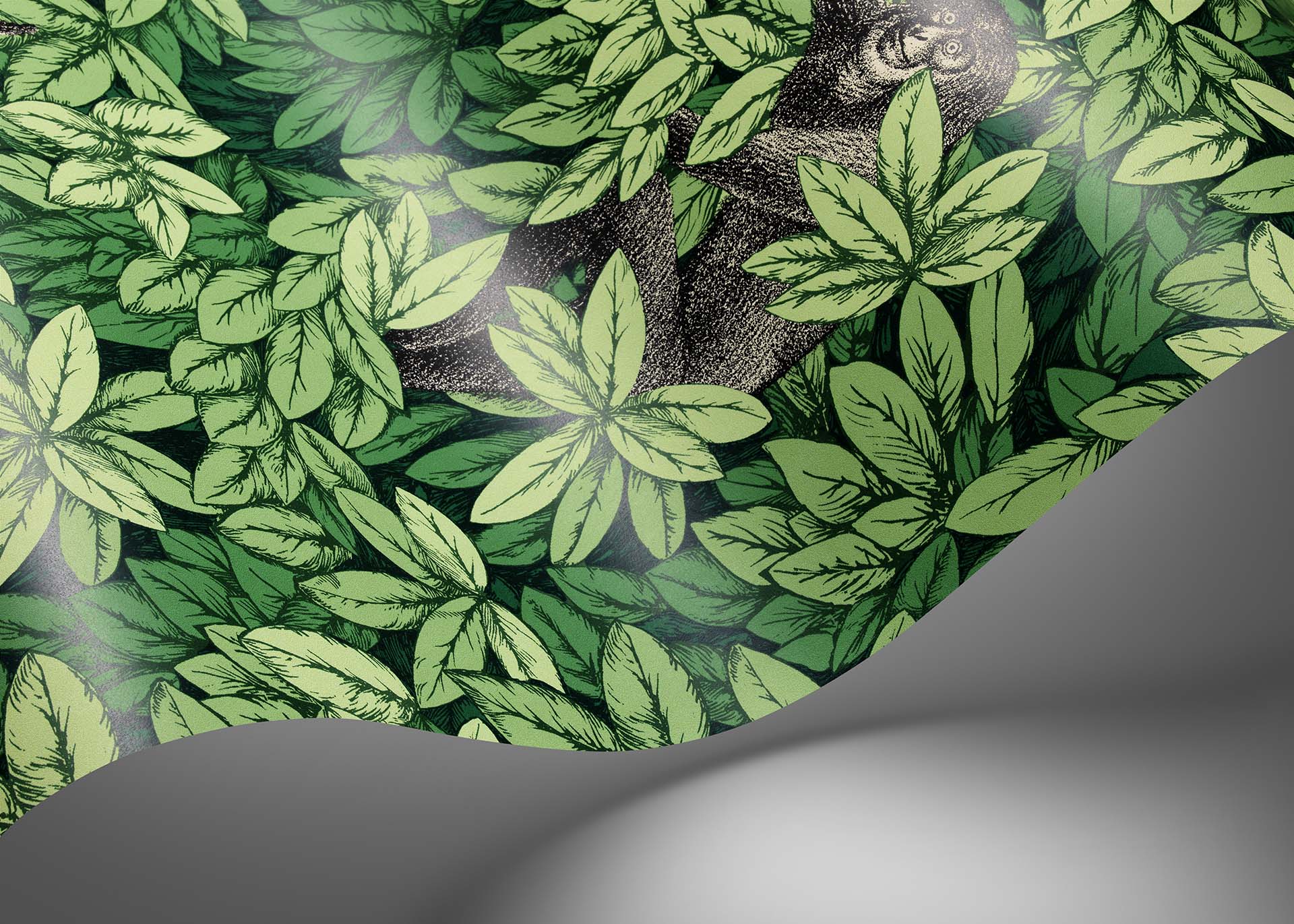 Foglie e Scimmie Tapete - 123/10049 - Forest Green - Cole&Son - Fornasetti Senza Tempo II-123-10049-Cole&Son-Fornasetti Senza Tempo II Foglie e Scimmie Tapete - 123/10049 - Forest Green - Cole&Son - Fornasetti Senza Tempo II von Cole&Son aus der Kategorie Fornasetti Senza Tempo II mit der Artikelnummer 123-10049