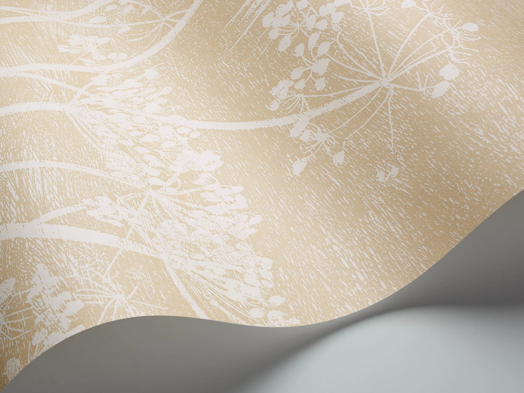 Cow Parsley Tapete - 66/7049 - Cole&Son - New Contemporary von Cole&Son aus der Kategorie The Contemporary Collection mit der Artikelnummer 66-7049