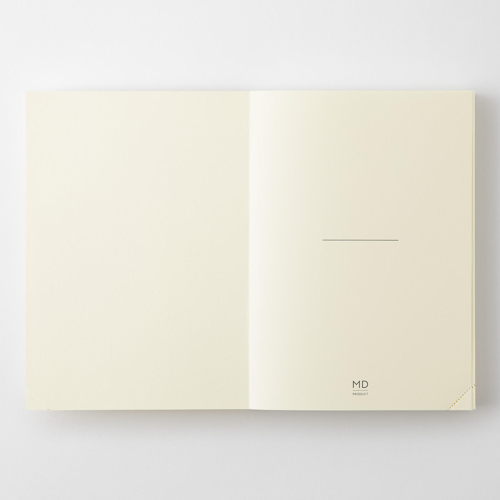 MD Notebook Journal - A5 - Codex 1 Day 1 Page - blanko / blank - Midori Notizbuch