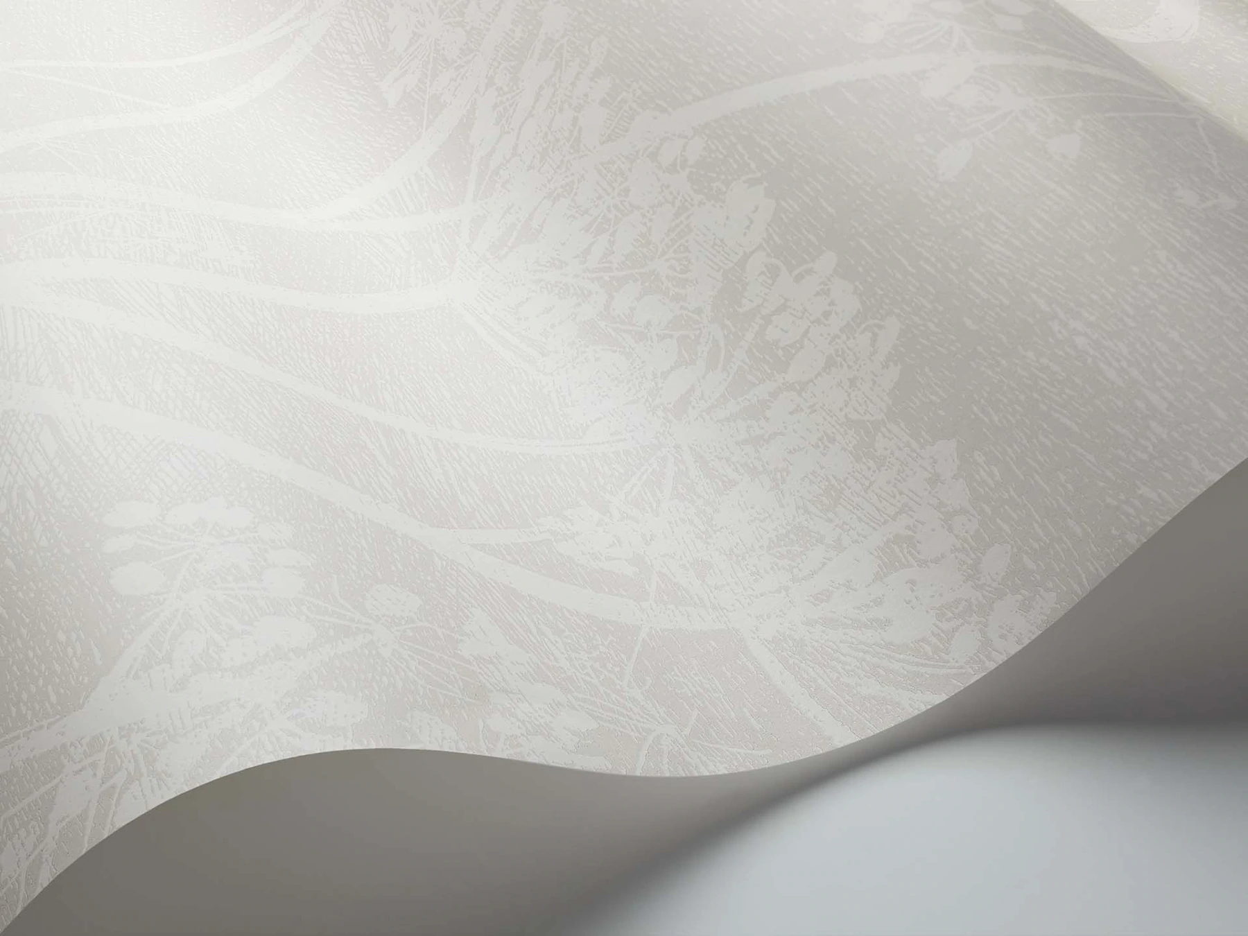 Cow Parsley Tapete - 112/8027 - Cole&Son - Icons-112-8027-Cole&Son-Icons Cow Parsley Tapete - 112/8027 - Cole&Son - Icons von Cole&Son aus der Kategorie Icons mit der Artikelnummer 112-8027