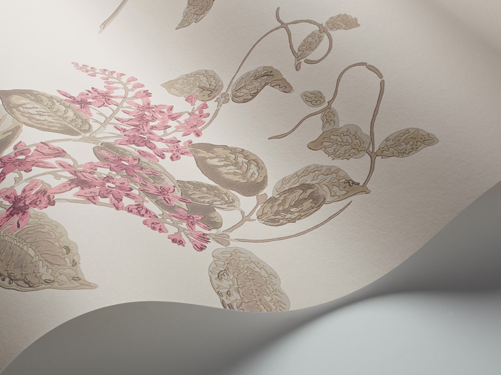 Madras Violet Tapete - 100/12058 - Cole&Son - Archive Anthology von Cole&Son aus der Kategorie Archive Anthology mit der Artikelnummer 100-12058