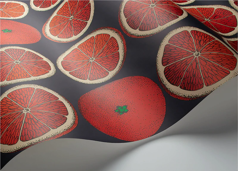 Arance Tapete - 114/24046 - Cole&Son - Fornasetti Senza Tempo-114-24046-Cole&Son-Fornasetti Selection Arance Tapete - 114/24046 - Cole&Son - Fornasetti Senza Tempo von Cole&Son aus der Kategorie Fornasetti Selection mit der Artikelnummer 114-24046