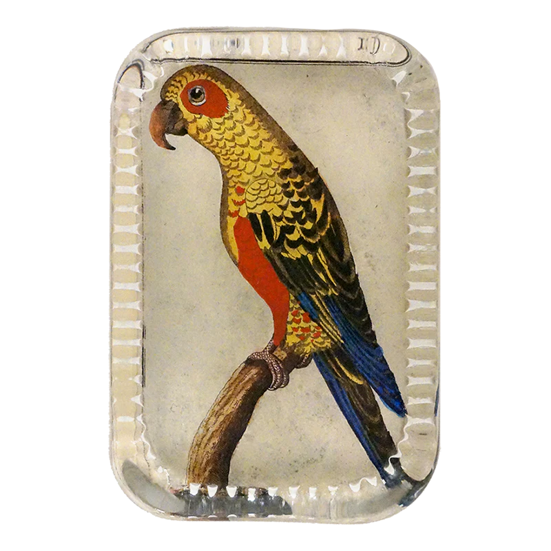 Parrot #6 - Briefbeschwerer - Dotted Edge Paperweight von John Derian