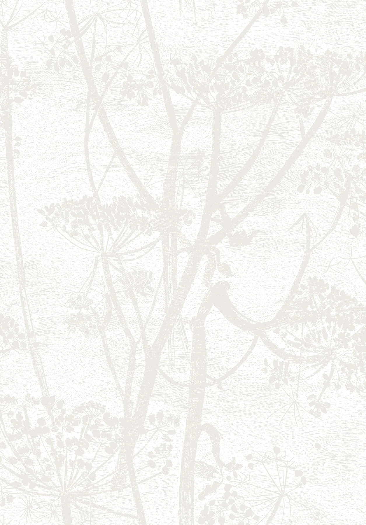 Cow Parsley Tapete - 95/9052 - Cole&Son - The Contemporary Collection