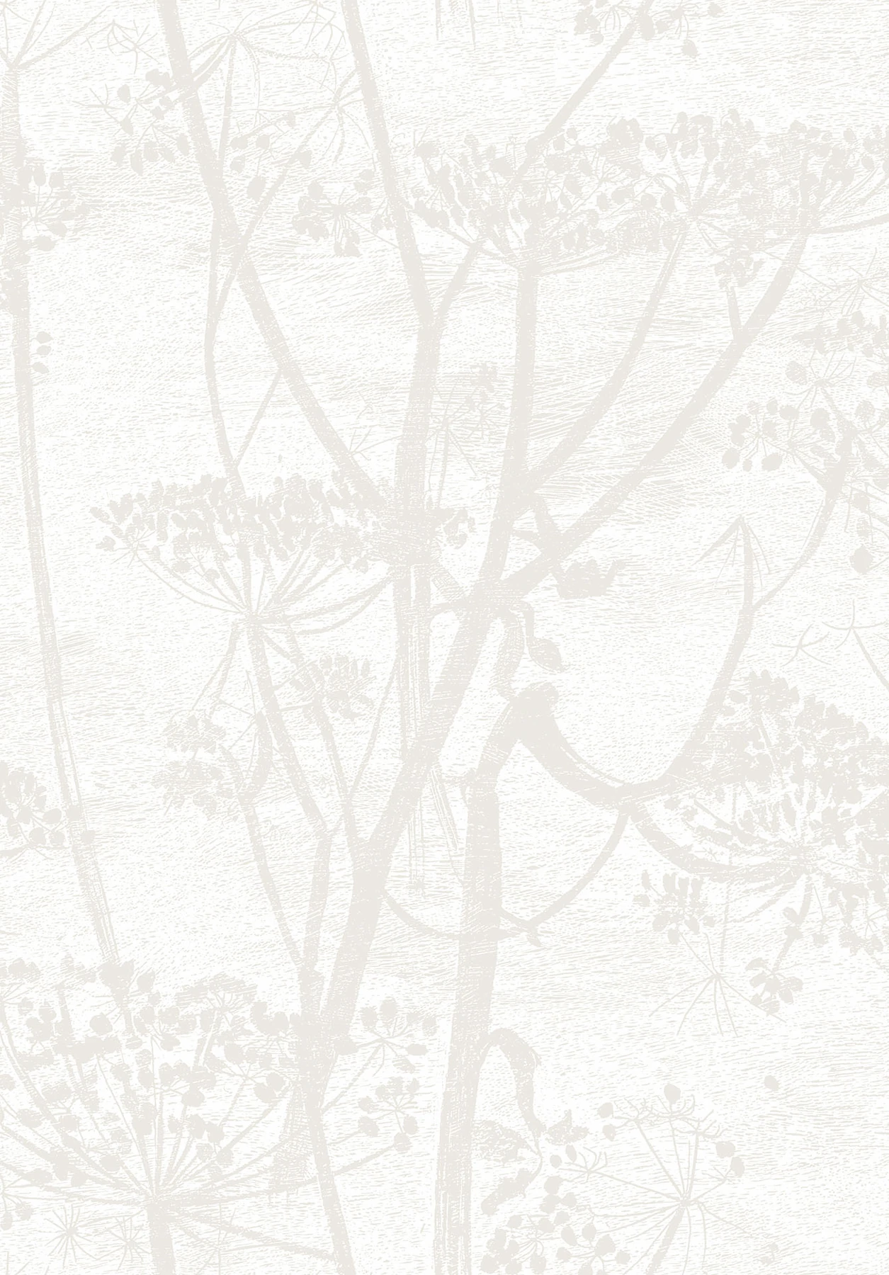 Cow Parsley Tapete - 95/9052 - Cole&Son - The Contemporary Collection von Cole&Son aus der Kategorie The Contemporary Collection mit der Artikelnummer 95-9052