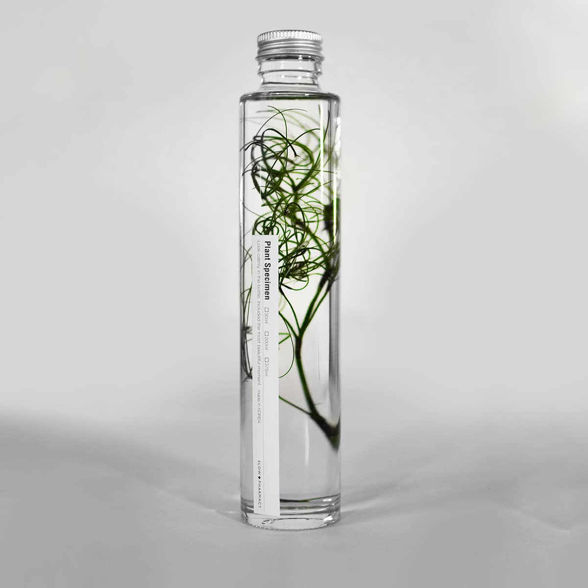 Goanacrow - Herbarium Slow Pharmacy - 200 ml-SPM_010-Slow Pharmacy-Slow Pharmacy Goanacrow - Herbarium Slow Pharmacy - 200 ml von Slow Pharmacy aus der Kategorie Slow Pharmacy mit der Artikelnummer SPM_010