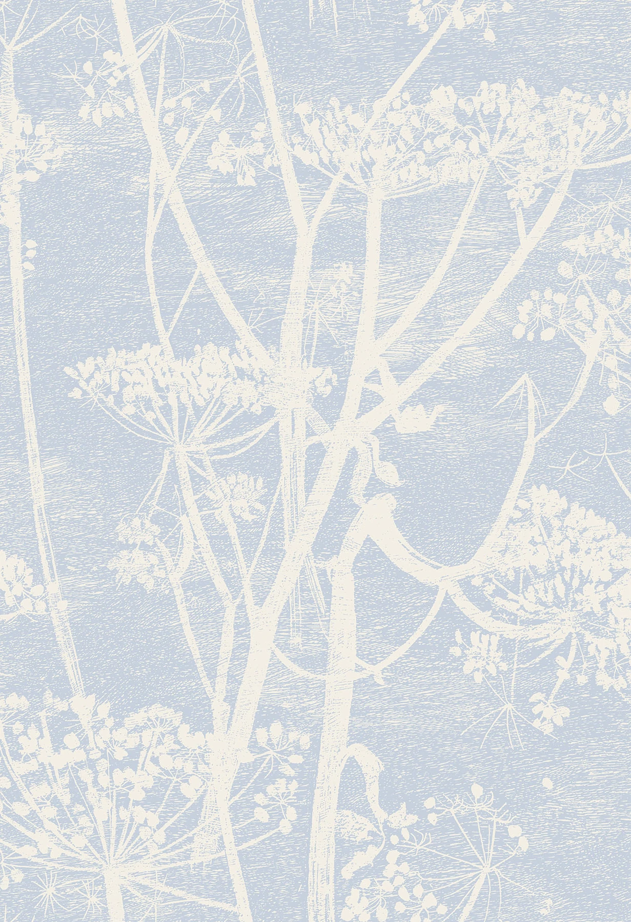 Cow Parsley Tapete - 66/7050 - Cole&Son - New Contemporary von Cole&Son aus der Kategorie The Contemporary Collection mit der Artikelnummer 66-7050