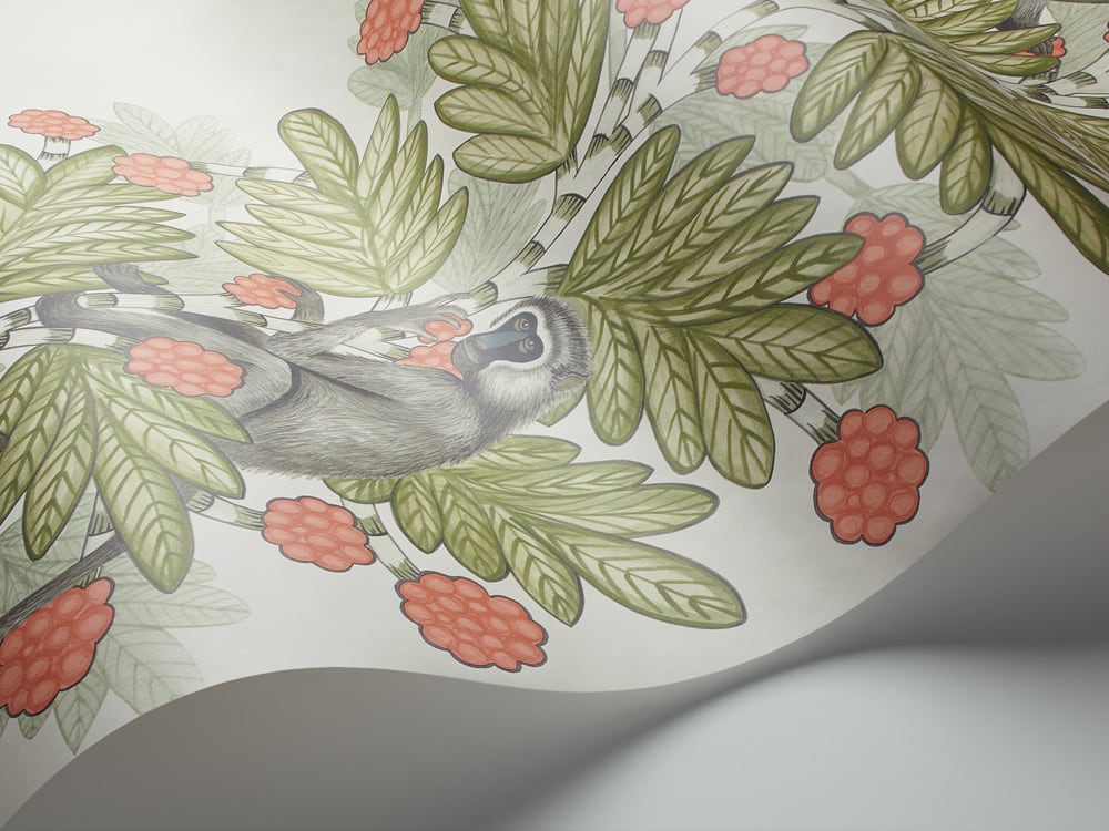 Acacia Tapete - 109/11051 - Cole&Son - The Ardmore Collection-109-11051-Cole&Son-Ardmore Acacia Tapete - 109/11051 - Cole&Son - The Ardmore Collection von Cole&Son aus der Kategorie Ardmore mit der Artikelnummer 109-11051