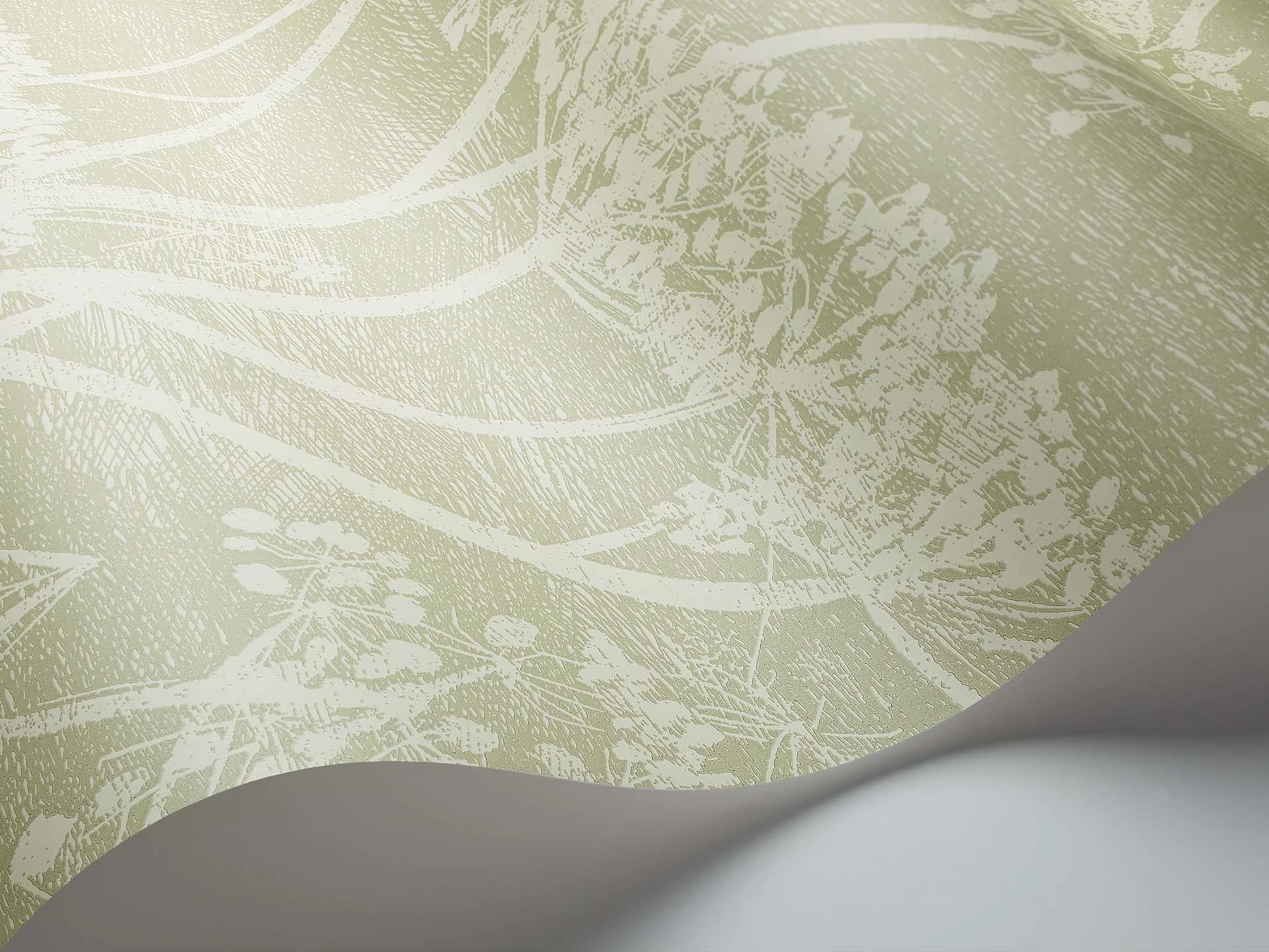 Cow Parsley Tapete - 112/8029 - Cole&Son - Icons-112-8029-Cole&Son-Icons Cow Parsley Tapete - 112/8029 - Cole&Son - Icons von Cole&Son aus der Kategorie Icons mit der Artikelnummer 112-8029