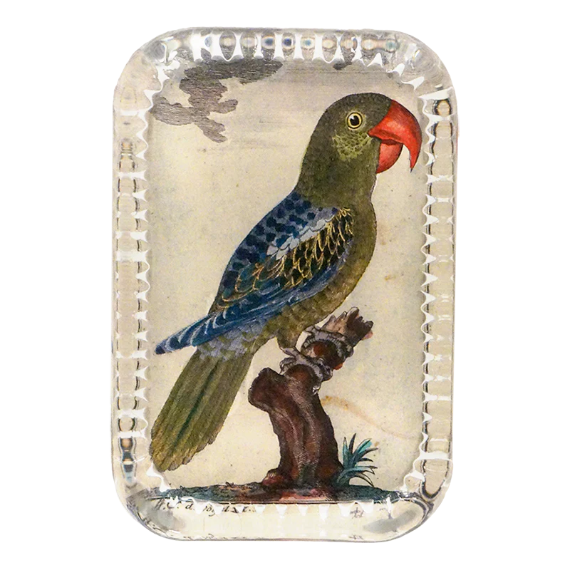 Parrot #7 - Briefbeschwerer - Dotted Edge Paperweight von John Derian Parrot #7 - Briefbeschwerer - Dotted Edge Paperweight von John Derian