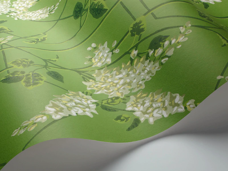 Wisteria Tapete - 115/5016 - Cole&Son - Botanical ~Botanica~ von Cole&Son aus der Kategorie Botanical Botanica mit der Artikelnummer 115-5016