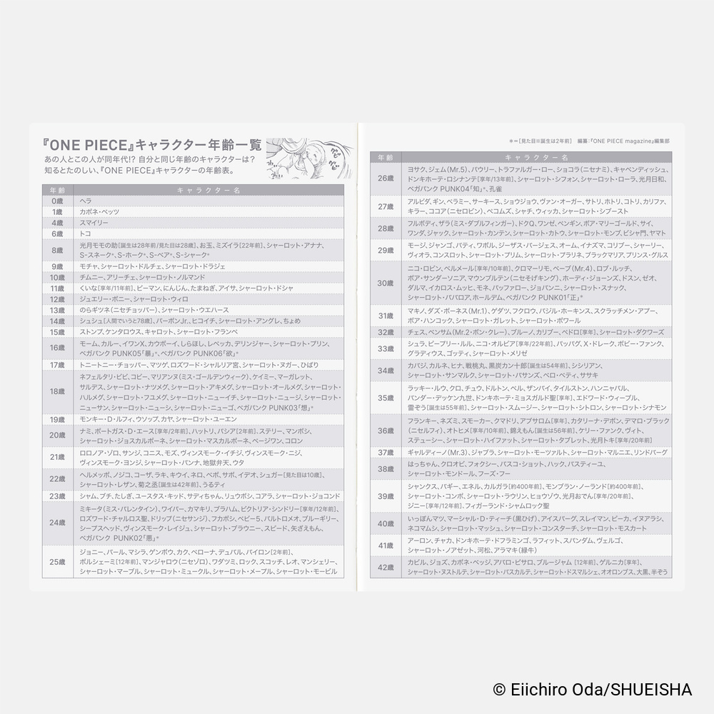 Kalenderbuch A6 Original 2027 – One Piece Edition, japanisch | Hobonichi