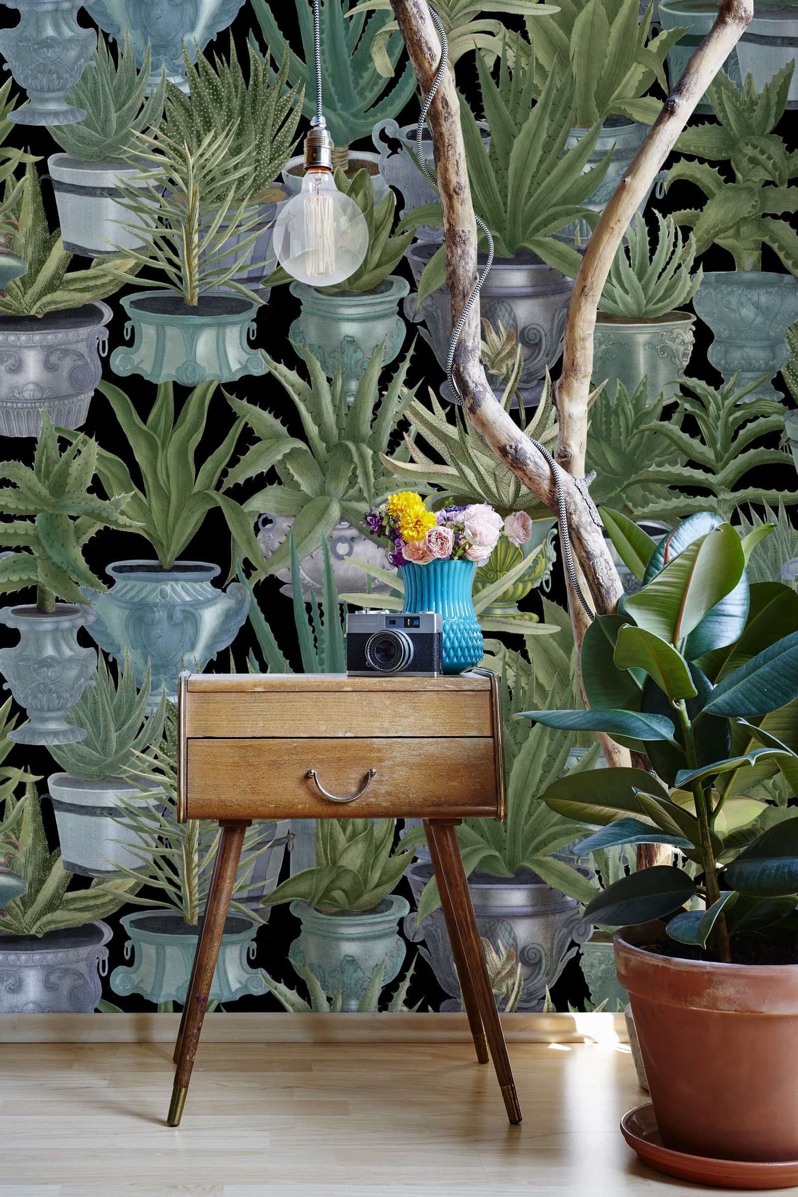 Tapete ECHEVERIA - Mindthegap-WP20163-MINDTHEGAP-MIND THE GAP Tapete ECHEVERIA - Mindthegap von MINDTHEGAP aus der Kategorie MIND THE GAP mit der Artikelnummer WP20163