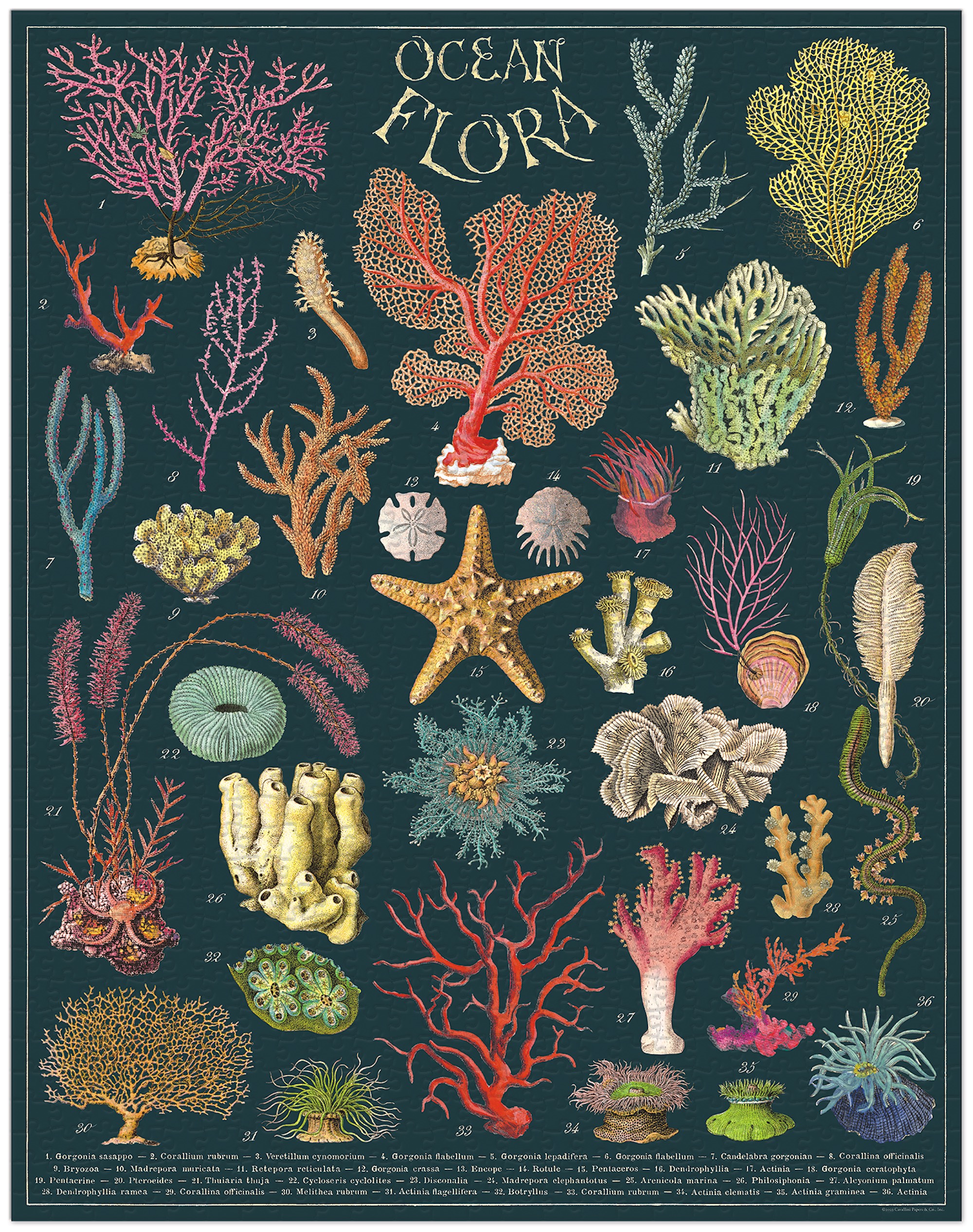 Ocean Flora - Vintage Puzzle von Cavallini - 1.000 Teile