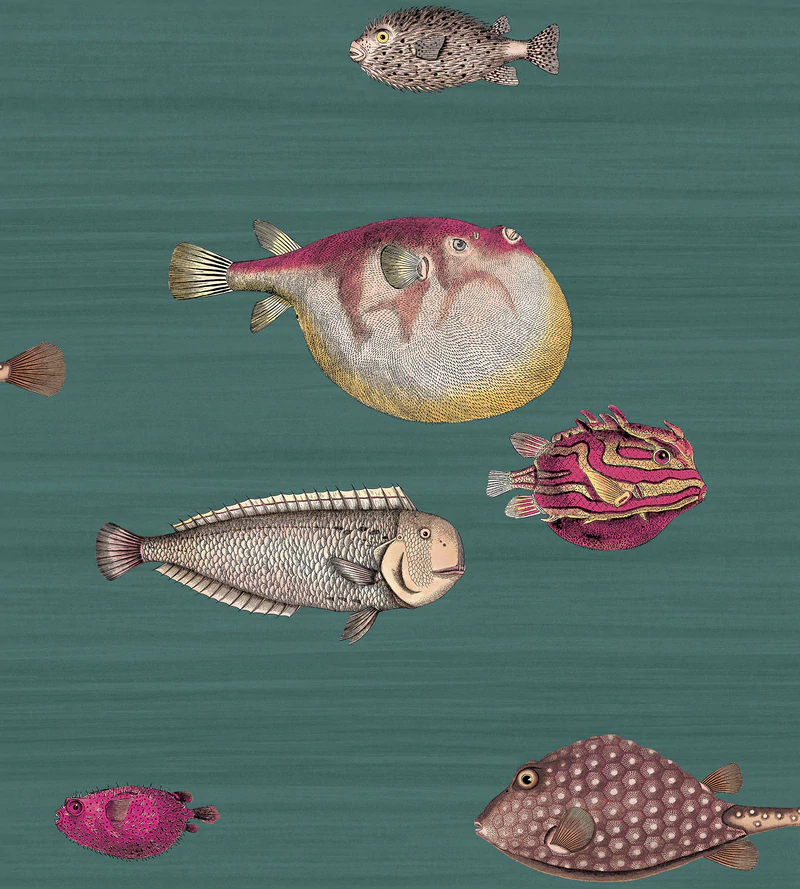 Acquario Tapete - 114/12024 - Cole&Son - Fornasetti von Cole&Son aus der Kategorie Fornasetti Selection mit der Artikelnummer 114-12024