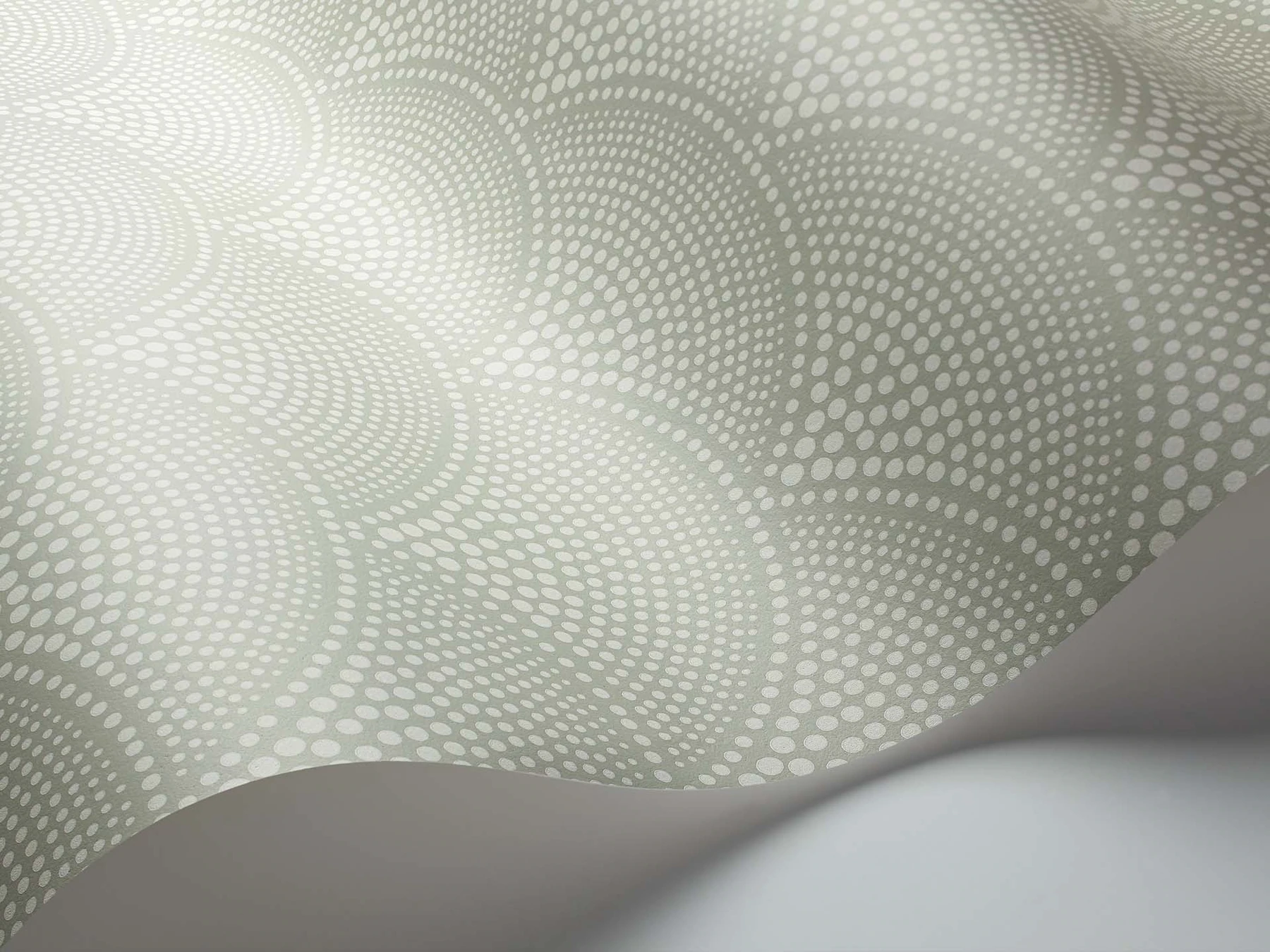 Feather Fan Tapete - 112/10037 - Cole&Son - Icons-112-10037-Cole&Son-Icons Feather Fan Tapete - 112/10037 - Cole&Son - Icons von Cole&Son aus der Kategorie Icons mit der Artikelnummer 112-10037