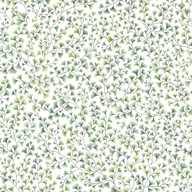 Maidenhair Tapete - 115/6018 - Cole&Son - Botanical ~Botanica~ von Cole&Son aus der Kategorie Botanical Botanica mit der Artikelnummer 115-6018