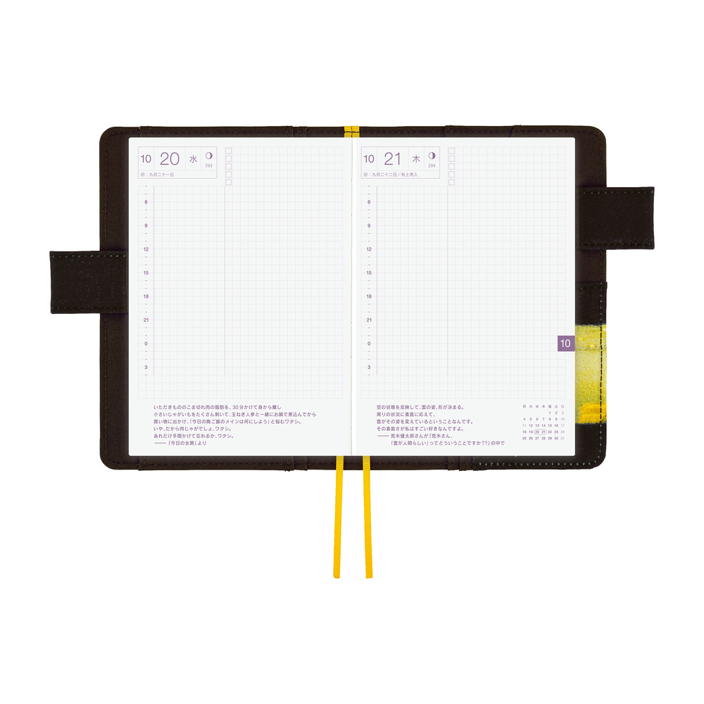 Hülle A6 Original – Akiko Miyakoshi: An Airport at Night | Hobonichi